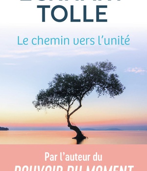 LE CHEMIN VERS L'UNITE