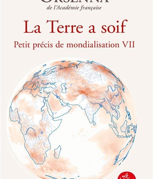 PETIT PRECIS DE LA MONDIALISATION - T07 - LA TERRE A SOIF - PETIT PRECIS DE MONDIALISATION TOME VII