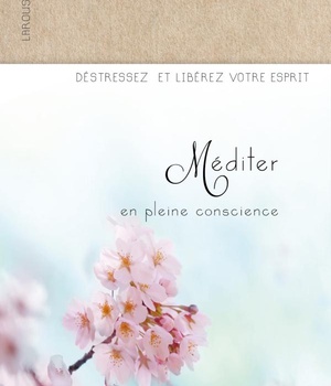 MEDITER EN PLEINE CONSCIENCE