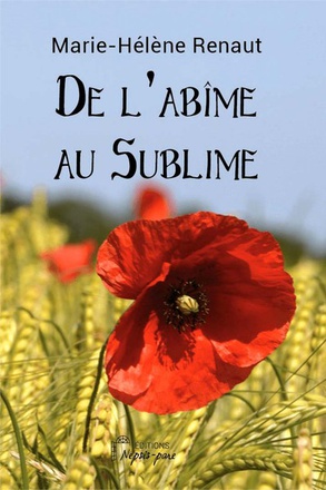DE L'ABIME AU SUBLIME
