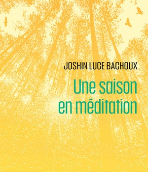 UNE SAISON EN MEDITATION