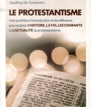 LE PROTESTANTISME - UNE SYNTHESE D'INTRODUCTION ET DE REFERENCE POUR ECLAIRER L'HISTOIRE, LA FOI, LE