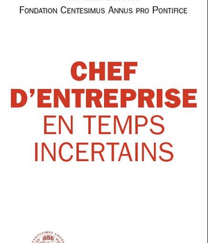 CHEF D'ENTREPRISE EN TEMPS INCERTAINS