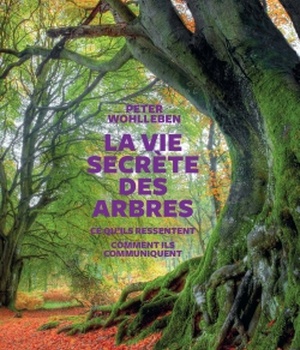 LA VIE SECRETE DES ARBRES