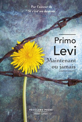 MAINTENANT OU JAMAIS - PAVILLONS POCHE
