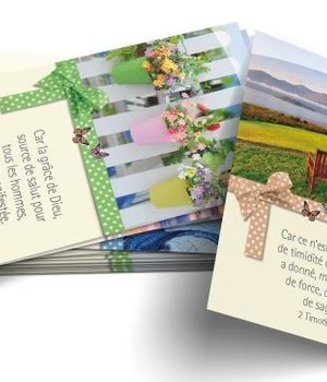 LOT DE 100 MINI-CARTES BIBLIQUES : DIEU EST BON NDSP