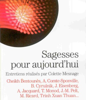 ESPACES LIBRES - T204 - SAGESSES POUR AUJOURD'HUI - ENTRETIENS REALISES PAR COLETTE MESNAGE