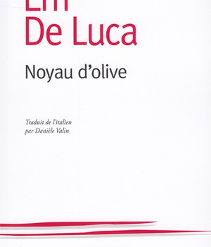 NOYAU D'OLIVE