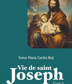 VIE DE SAINT JOSEPH - TOME 2