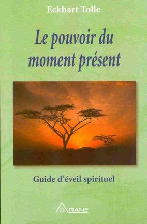 LE POUVOIR DU MOMENT PRESENT