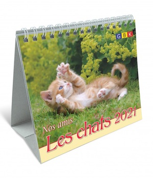 NOS AMIS LES CHATS PF - CALENDRIER 2021 NDSP