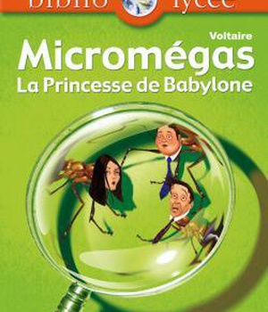 BIBLIOLYCEE - MICROMEGAS - PRINCESSE DE BABYLONE, VOLTAIRE