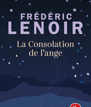 LA CONSOLATION DE L'ANGE