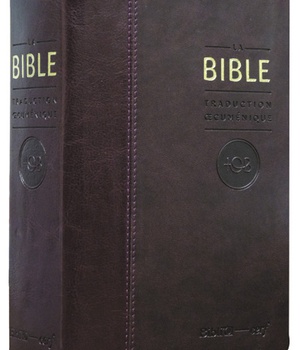 BIBLE TOB NOTES ESSENTIELLES PETIT FORMAT SIMILICUIR BORDEAUX TRANCHE OR SOUS ETUI