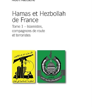 HAMAS - HEZBOLLAH EN FRANCE - ISLAMISTES, COMPAGNONS DE ROUTE ET TERRORISTES TOME 1