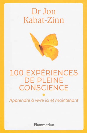 100 EXPERIENCES DE PLEINE CONSCIENCE - APPRENDRE A VIVRE ICI ET MAINTENANT