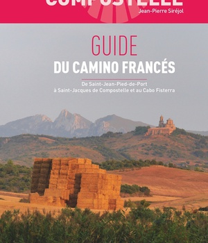 COMPOSTELLE GUIDE DU CAMINO FRANCES (2 ED) - DE SAINT-JEAN-PIED-DE-PORT A SAINT-JACQUES DE COMPOSTEL