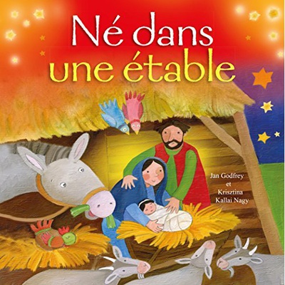 NE DANS UNE ETABLE NDSP