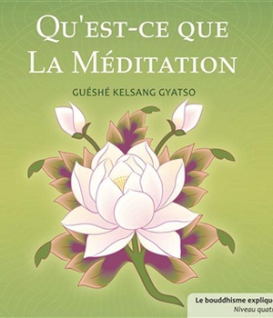 QU'EST-CE QUE LA MEDITATION - LE BOUDDHISME POUR LES ENFANTS - NIVEAU 3