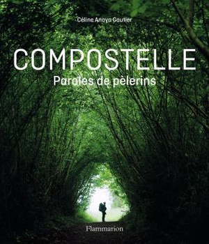 COMPOSTELLE - PAROLES DE PELERINS - ILLUSTRATIONS, COULEUR