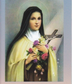 LIVRET DE NEUVAINE A SAINTE THERESE