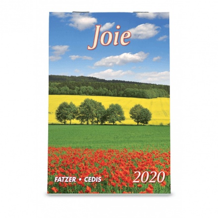 CALENDRIER 2020 MINI JOIE NDSP