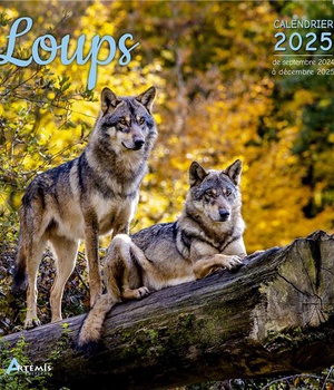 CALENDRIER LOUPS 2025