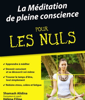 LA MEDITATION DE PLEINE CONSCIENCE POCHE POUR LESNULS