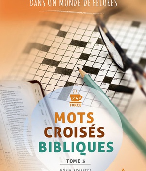 MOTS CROISES BIBLIQUES - TOME 3 - UNE PAROLE QUI RASSURE, DANS UN MONDE DE FELURES
