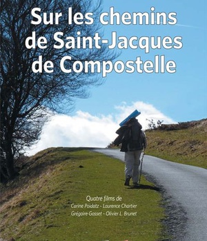 SUR LES CHEMINS DE SAINT-JACQUES DE COMPOSTELLE DVD
