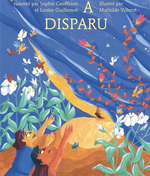 PLOTIN A DISPARU
