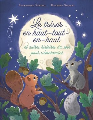 LE TRESOR EN-HAUT-TOUT-EN-HAUT ET AUTRES HISTOIRES DU SOIR POUR S'EMERVEILLER