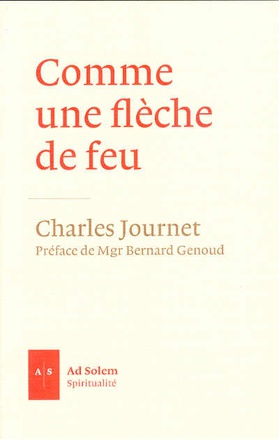 COMME UNE FLECHE DE FEU