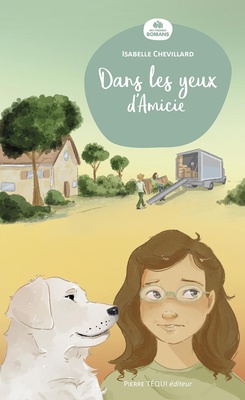 DANS LES YEUX D AMICIE