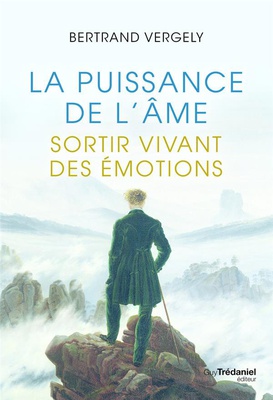 LA PUISSANCE DE L'AME - SORTIR VIVANT DE L'EMOTION