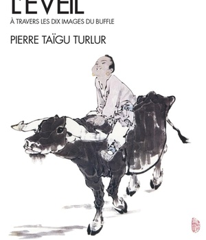 SPIRITUALITES VIVANTES POCHE - T309 - APPRIVOISER L'EVEIL - A TRAVERS LES DIX IMAGES DU BUFFLES