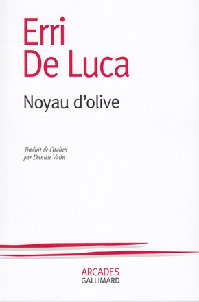 NOYAU D'OLIVE
