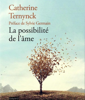 LA POSSIBILITE DE L'AME