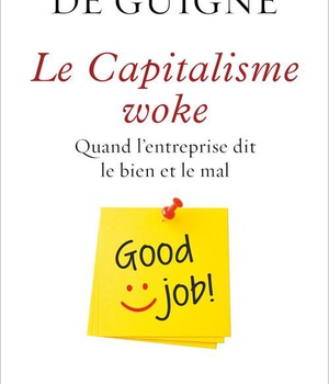 LE CAPITALISME WOKE - QUAND L'ENTREPRISE DIT LE BIEN ET LE MAL