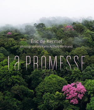 LA PROMESSE