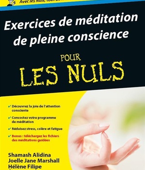 EXERCICES DE MEDITATION DE PLEINE CONSCIENCE POUR LES NULS
