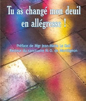 TU AS CHANGE MON DEUIL EN ALLEGRESSE !