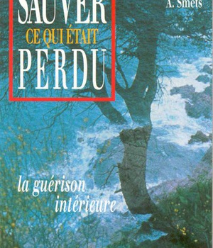 SAUVER CE QUI ETAIT PERDU