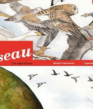 A VOL D OISEAU