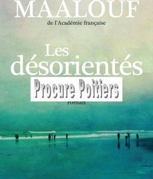 LES DESORIENTES - ROMAN