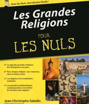 LES GRANDES RELIGIONS POUR LES NULS