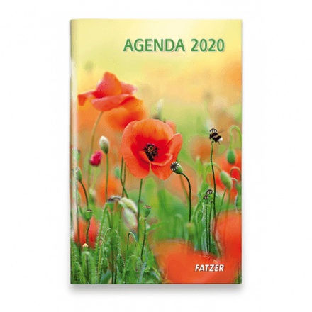 AGENDA 2020 INTERNATIONAL NDSP