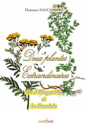 DEUX PLANTES EXTRAORDINAIRES - LE MILLEPERTUIS ET LA TANAISIE