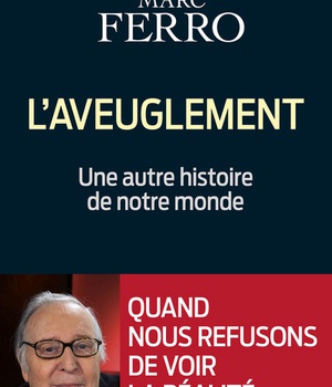L'AVEUGLEMENT - UNE AUTRE HISTOIRE DE NOTRE MONDE