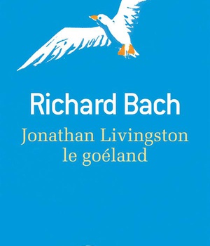 JONATHAN LIVINGSTON LE GOELAND
